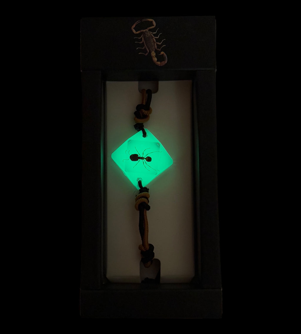 Ant Glow Bracelet