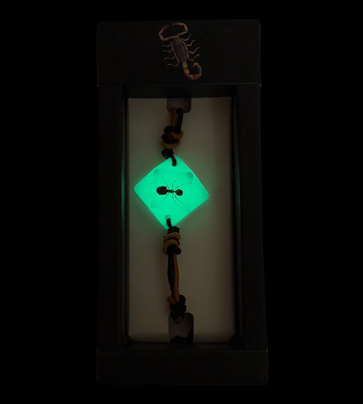 Ant Glow Bracelet