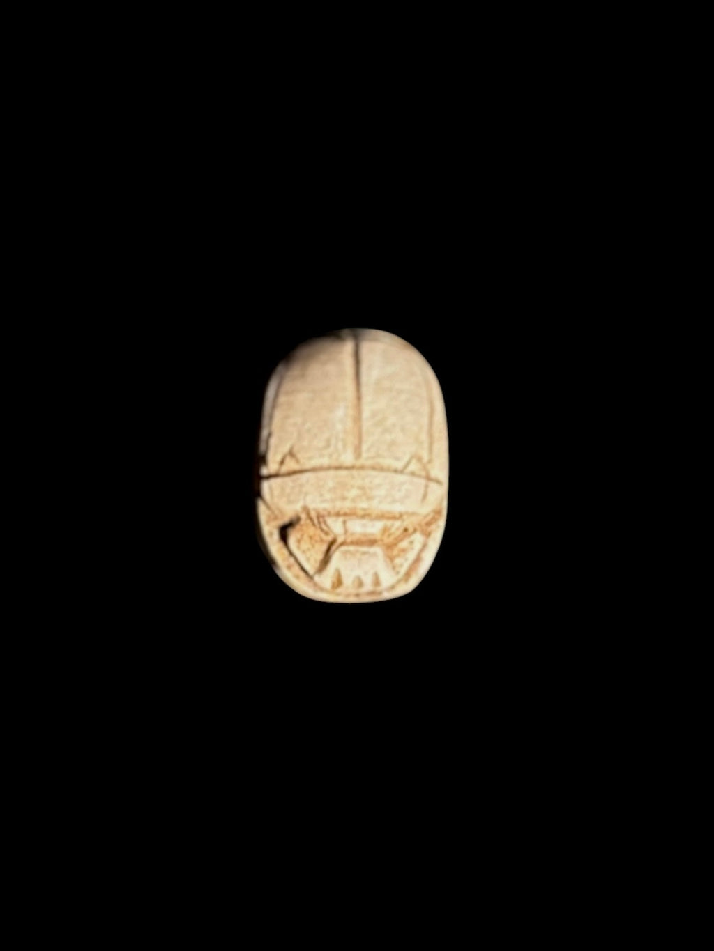 Top view of a cream and tan stone scarab showing incised wing cases and head details against a black background.