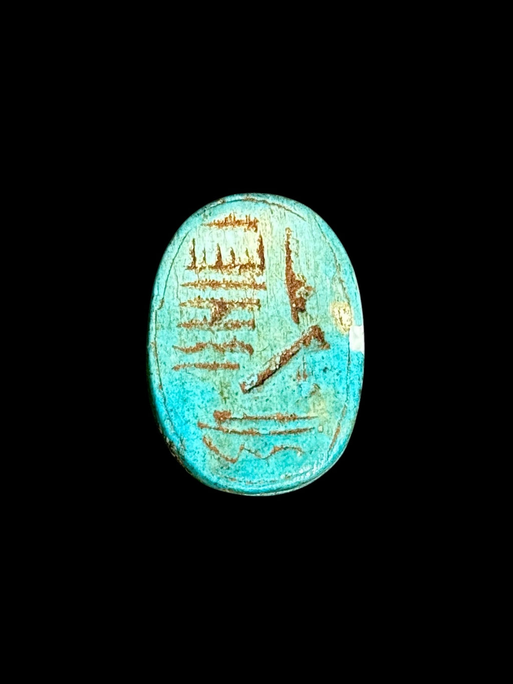Underside of Egyptian scarab SC-099, showing vivid turquoise underside with contrasting incised markings.
