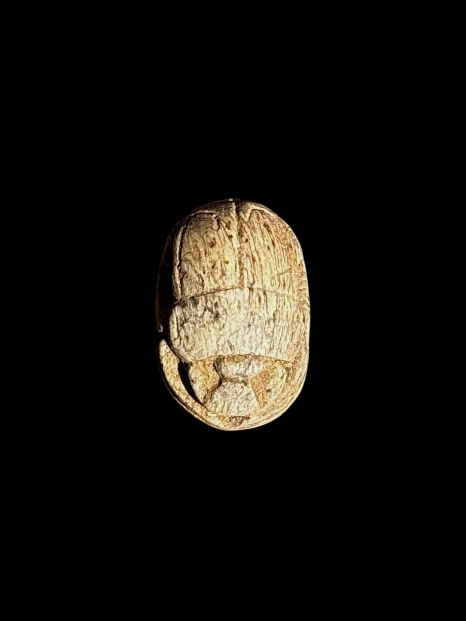 Top view of a cream and tan stone scarab showing the segmented beetle form and textured surface against black.