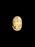 Top view of Egyptian scarab SC-063, showing warm tan and cream tones.
