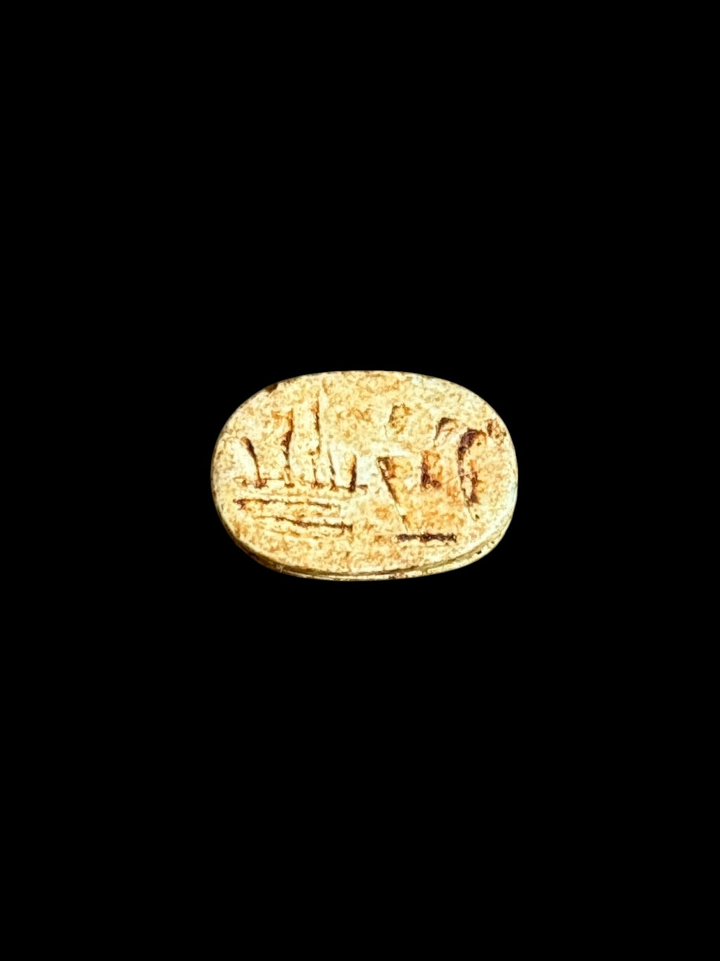 Underside of Egyptian scarab SC-061, showing warm cream underside with a row of darker markings.