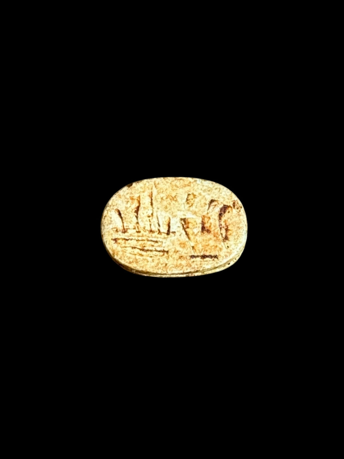 Underside of Egyptian scarab SC-061, showing warm cream underside with a row of darker markings.
