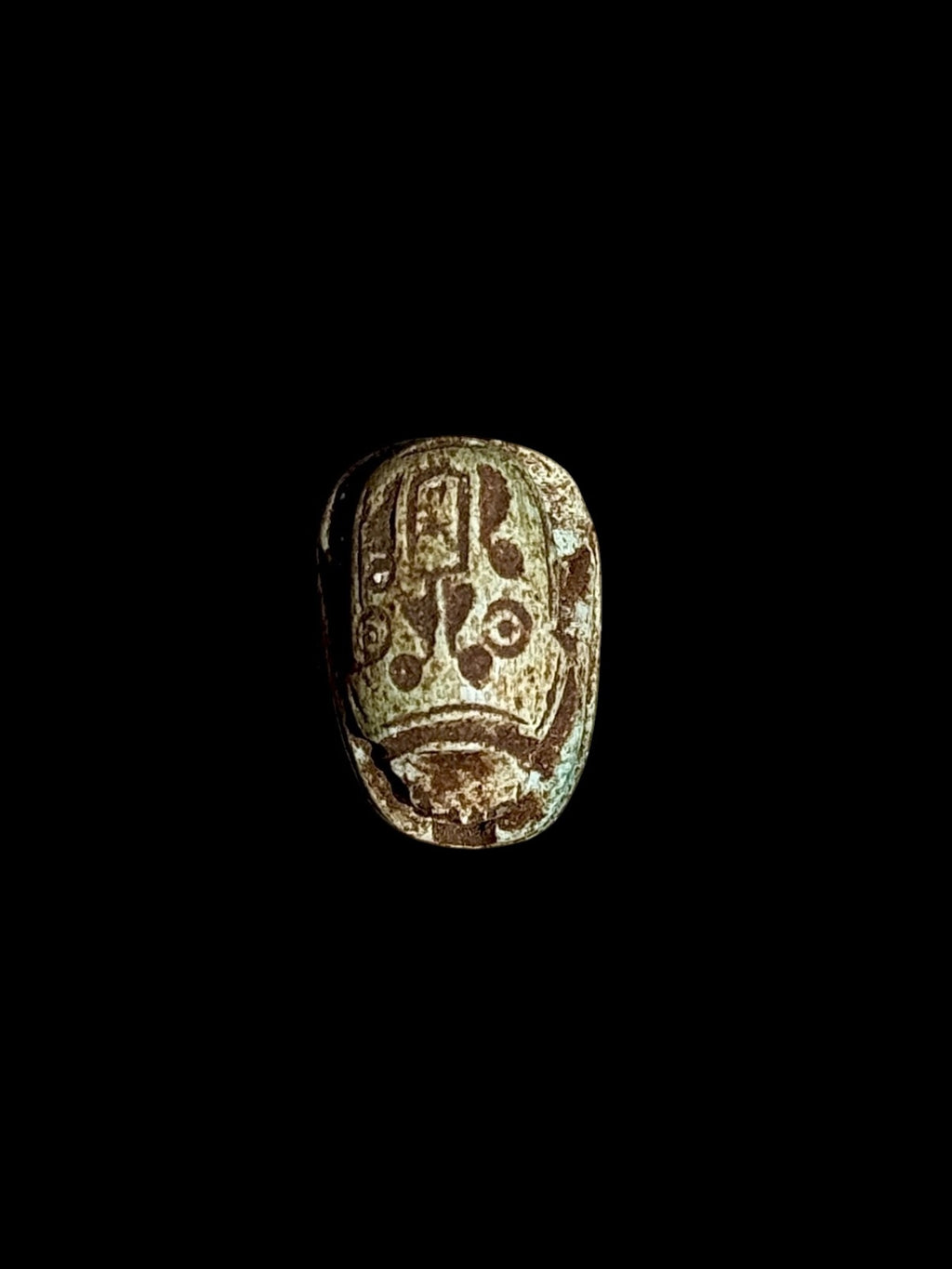 Top view of Egyptian scarab SC-110, showing dark brown and cream tones with pale green patches and markings across the upper surface.