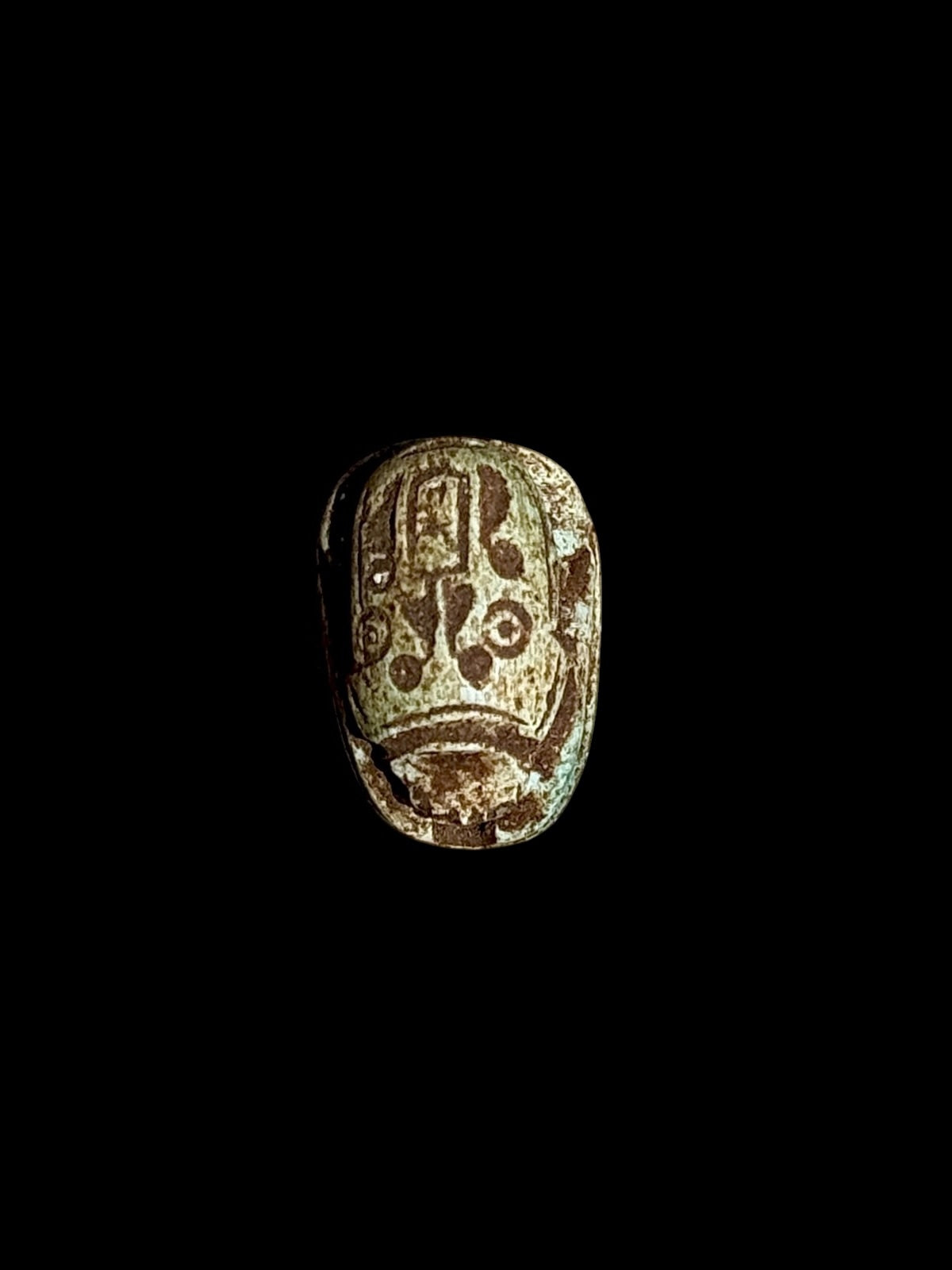 Top view of Egyptian scarab SC-110, showing dark brown and cream tones with pale green patches and markings across the upper surface.