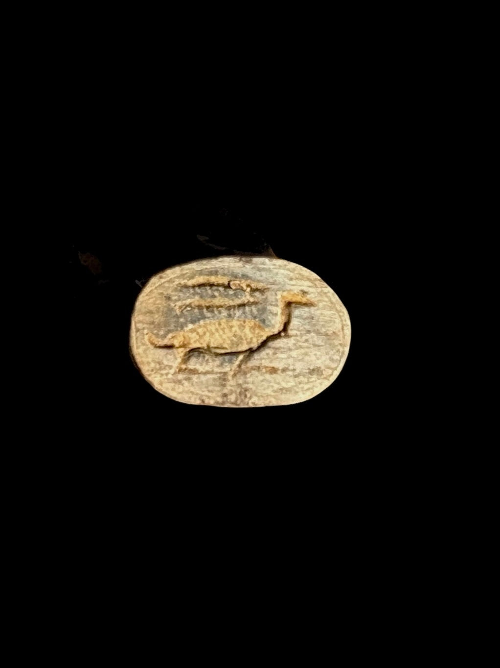 Oval underside of the stone scarab showing a long-necked bird motif and markings above it against a black background.