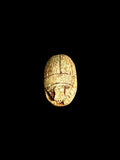 Top view of Egyptian scarab SC-054, showing warm ochre and cream tones.