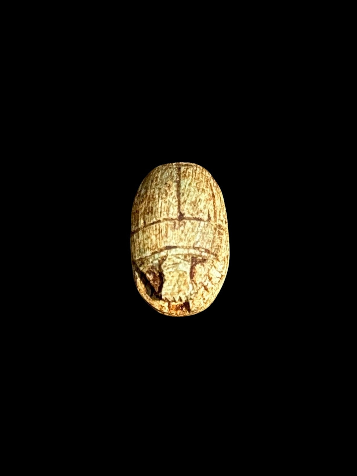 Top view of Egyptian scarab SC-054, showing warm ochre and cream tones.
