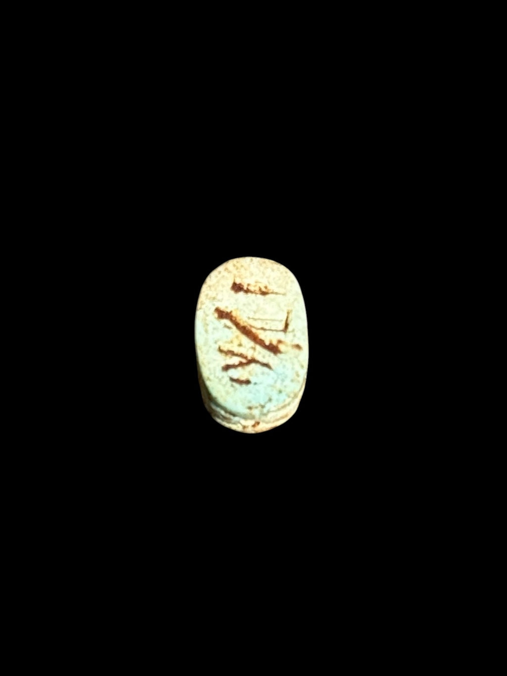 Underside of Egyptian scarab SC-063, showing pale blue-green underside with contrasting brown markings.