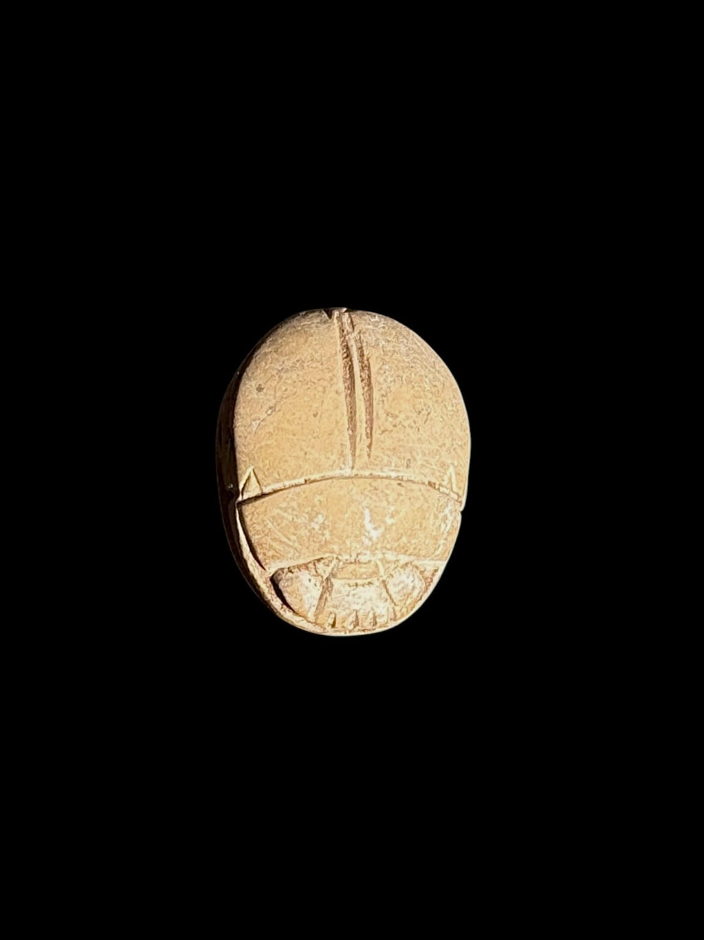 Rounded tan stone scarab back showing a central wing division and outlined head details against a black background.
