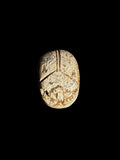 Top view of a cream and brown mottled stone scarab with incised beetle details against a black background.