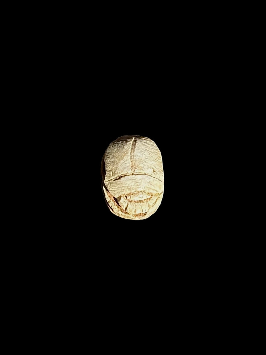 Top view of a cream-coloured oval stone scarab with outlined wing cases and brown accents against a black background.