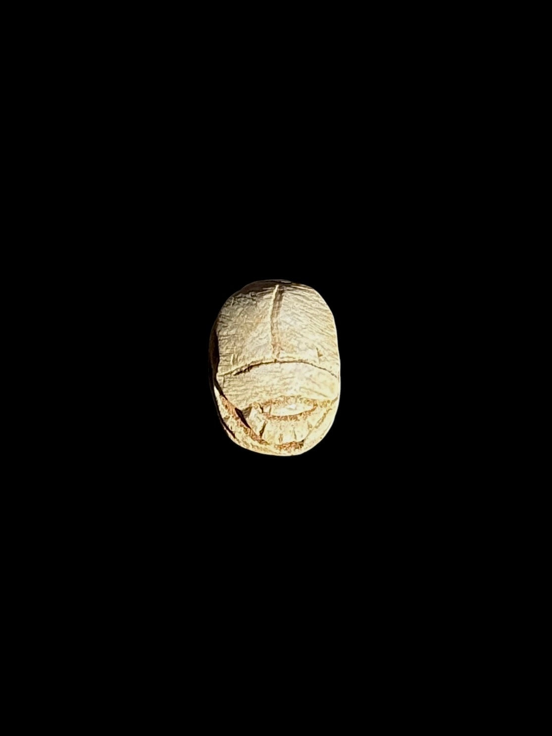 Top view of a cream-coloured oval stone scarab with outlined wing cases and brown accents against a black background.