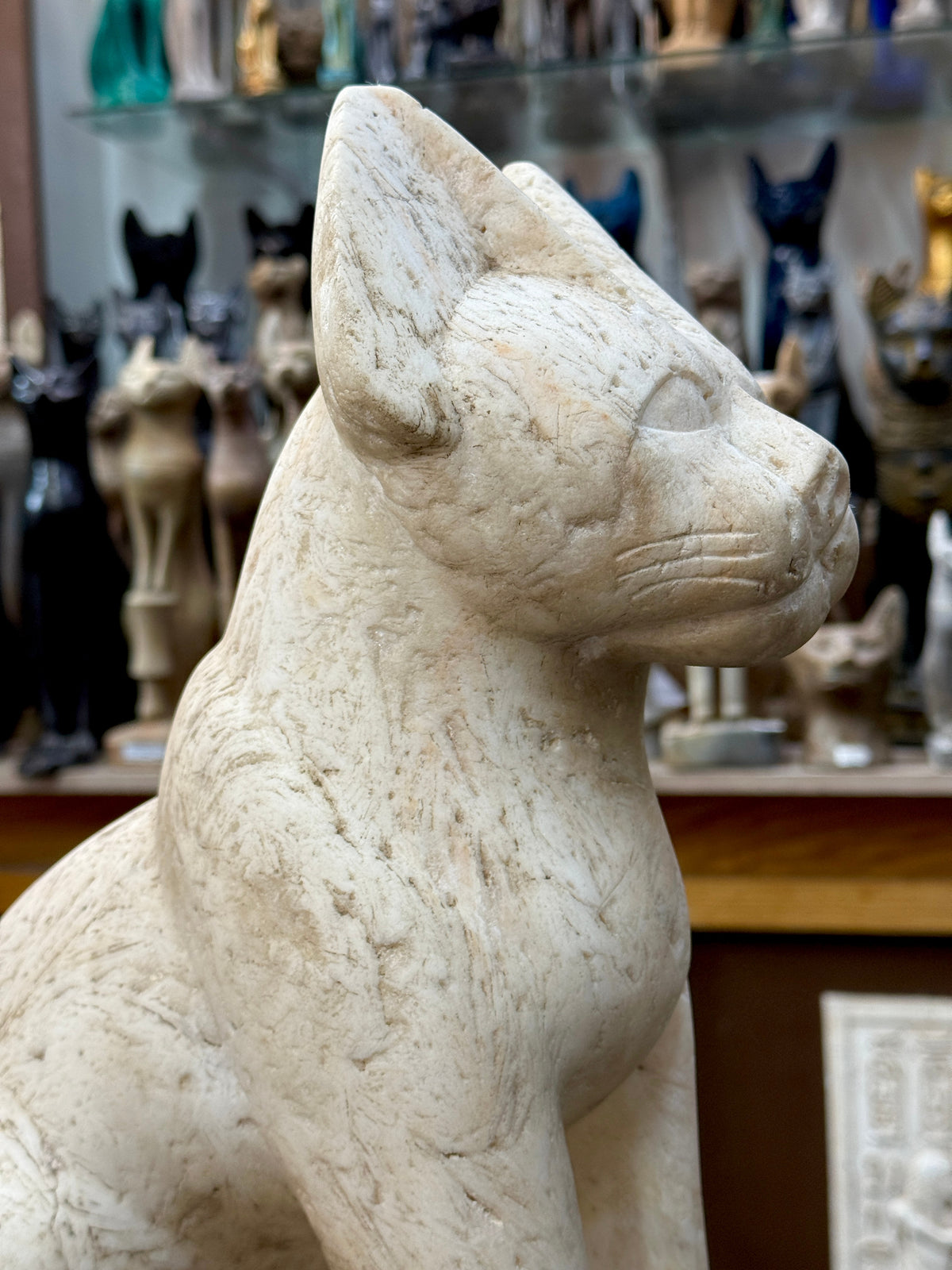 Close-up of the cat’s head and shoulder in profile, showing a pointed ear, outlined eye and three incised whisker lines.