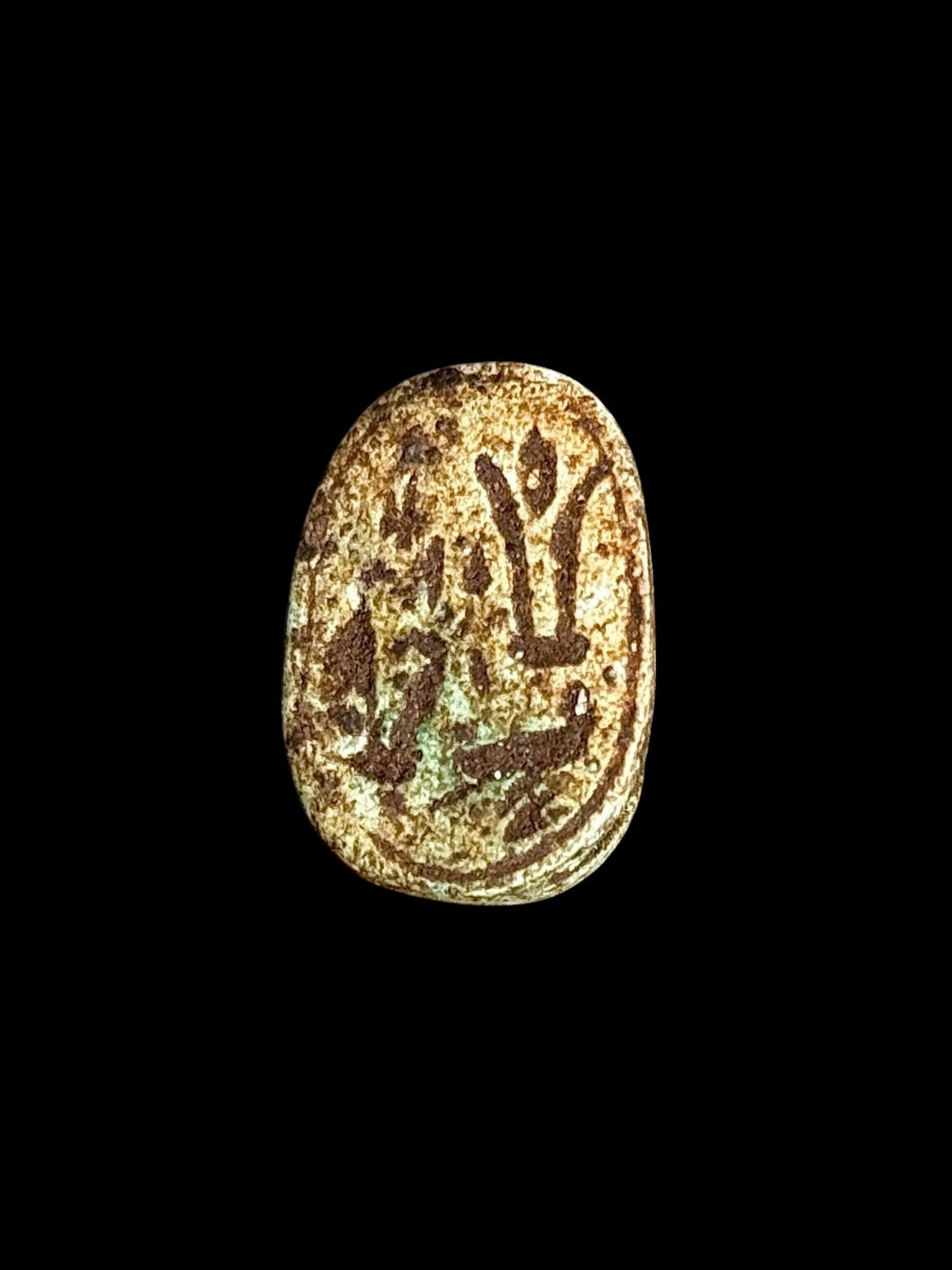 Underside of Egyptian scarab SC-111, showing mottled brown underside with contrasting pale markings.