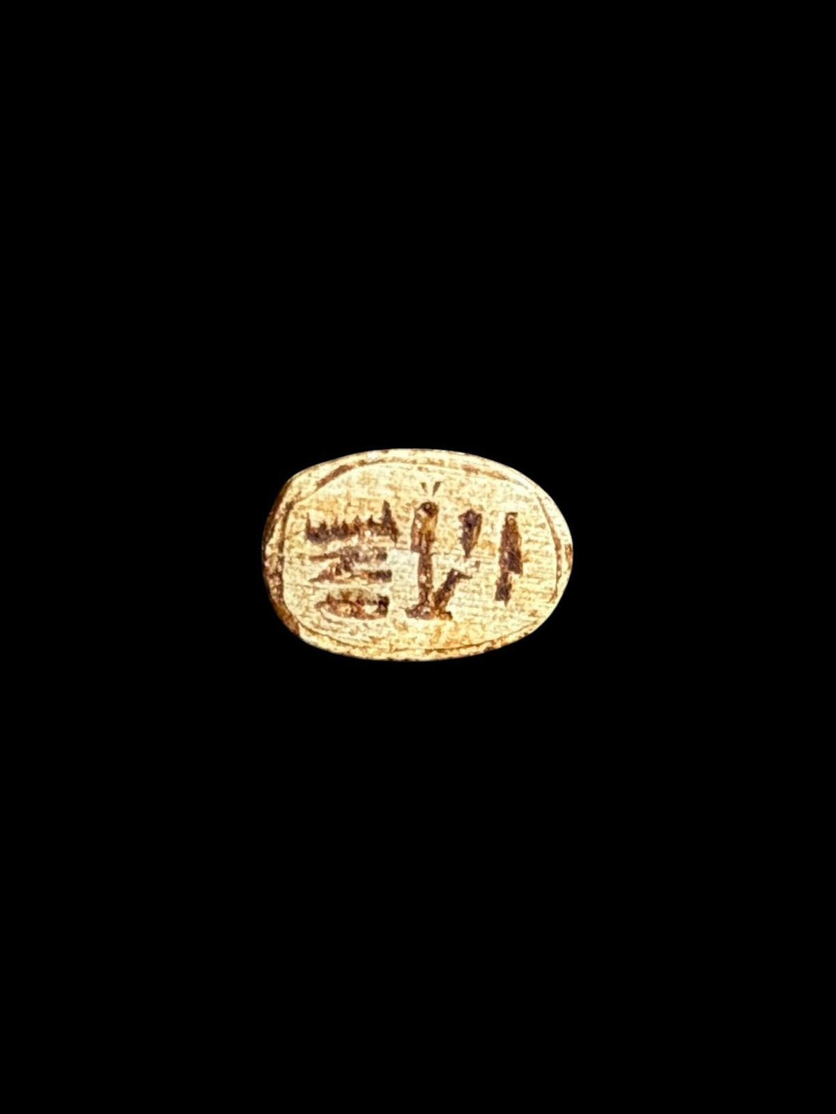 Underside of Egyptian scarab SC-049, showing pale cream underside with darker incised markings.