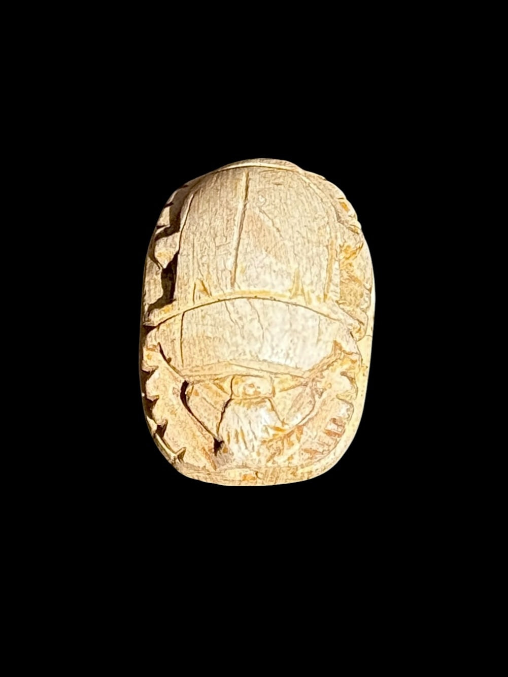 Top view of Egyptian scarab SC-106, showing cream and pale tan tones with defined side details.