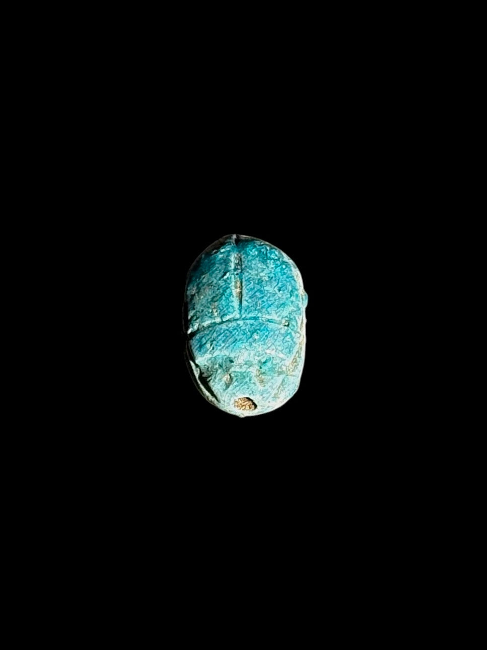 Rounded beetle back of a turquoise-coloured stone scarab, showing incised dividing lines, pale mottling and a small tan patch near one end.