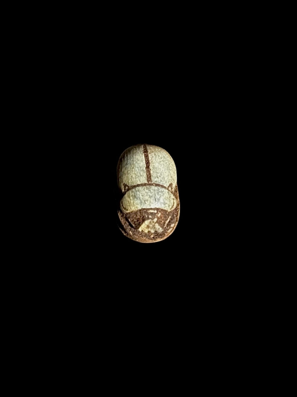 Top view of a pale green stone scarab with brown lines defining the wing cases and head against a black background.