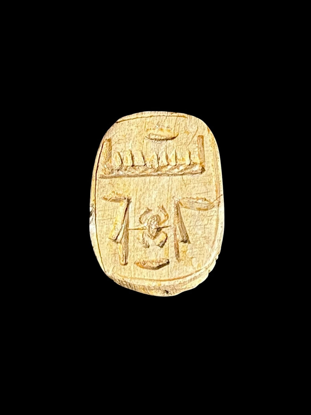 Underside of Egyptian scarab SC-105, showing cream underside with fine markings arranged in horizontal sections.