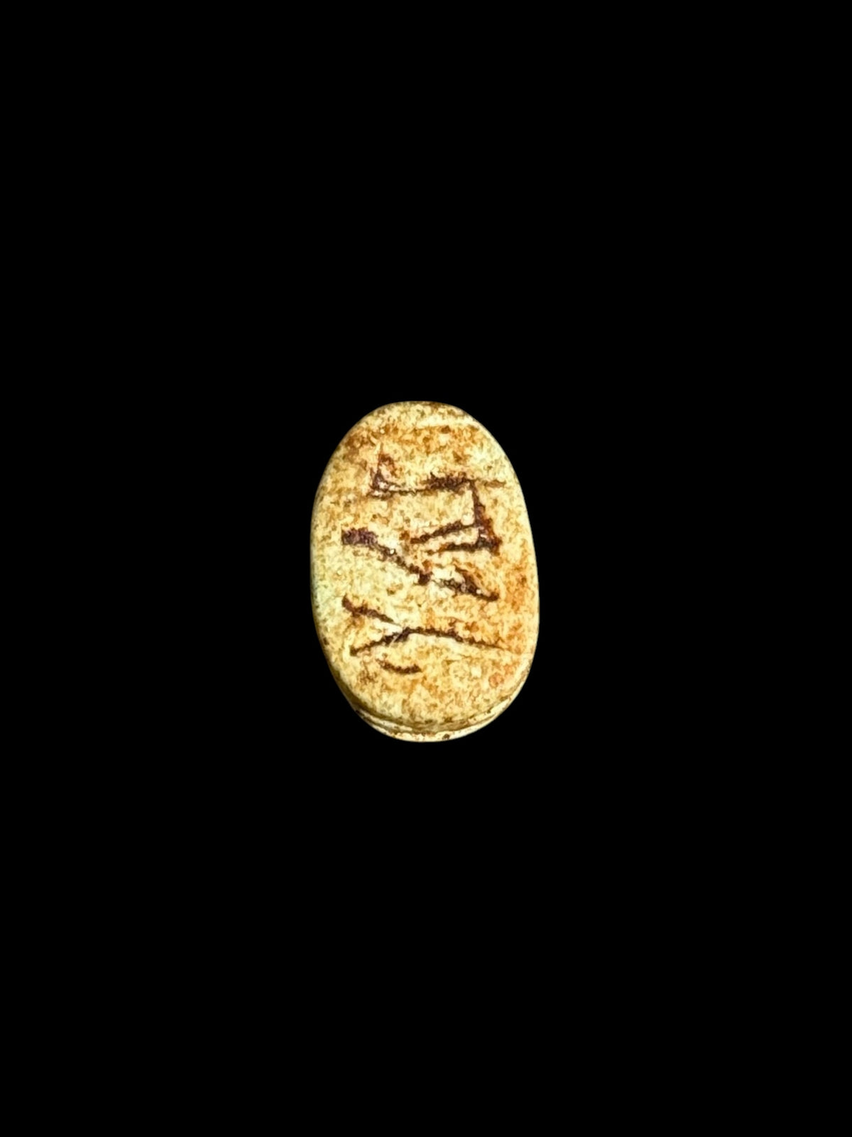 Underside of Egyptian scarab SC-064, showing golden-brown underside with darker incised markings.