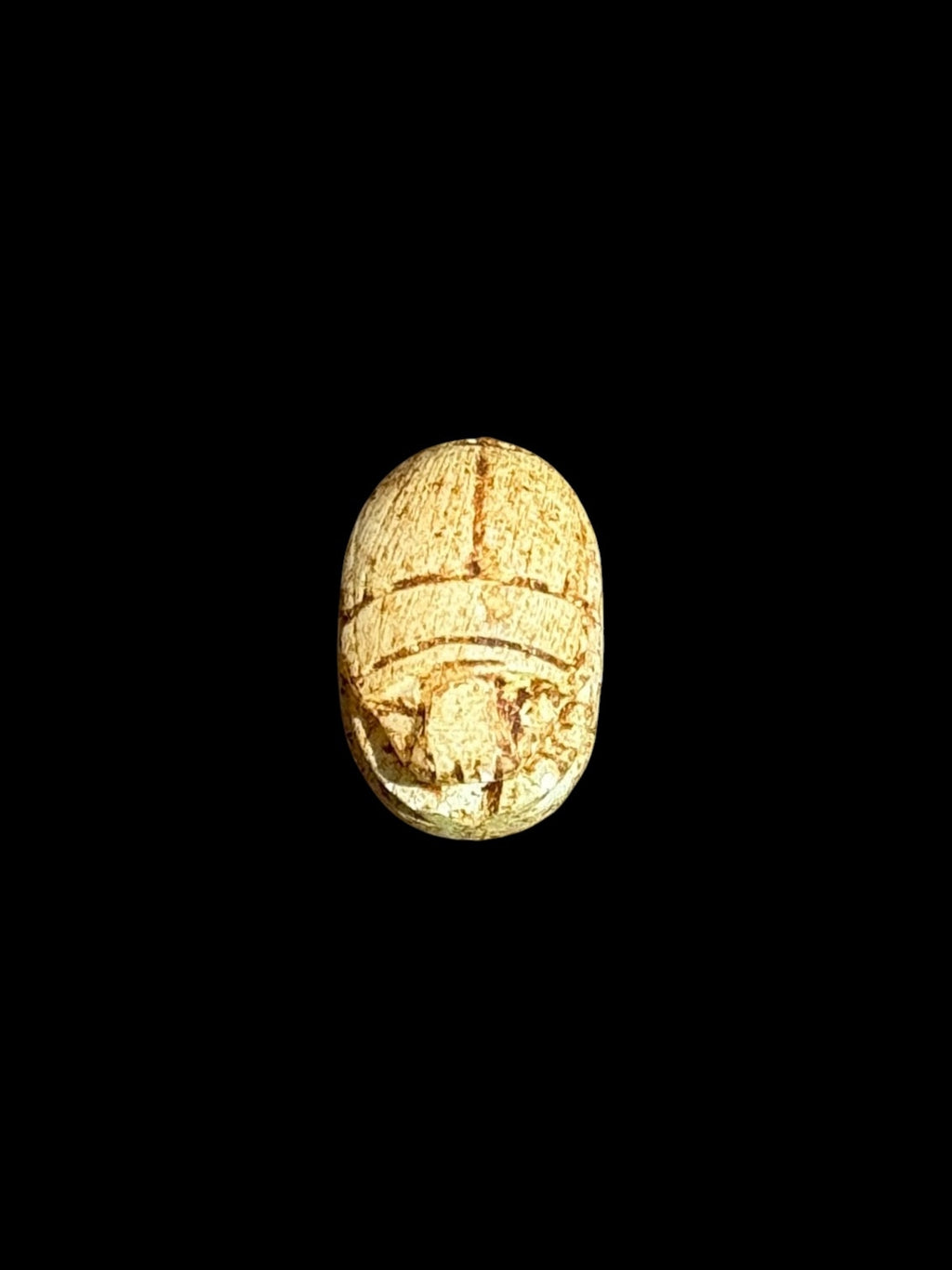 Top view of Egyptian scarab SC-069, showing warm cream and tan tones.