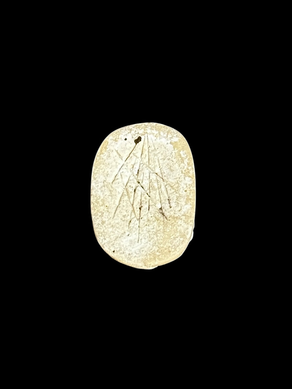 Underside of Egyptian scarab SC-116, showing pale underside with fine incised markings.