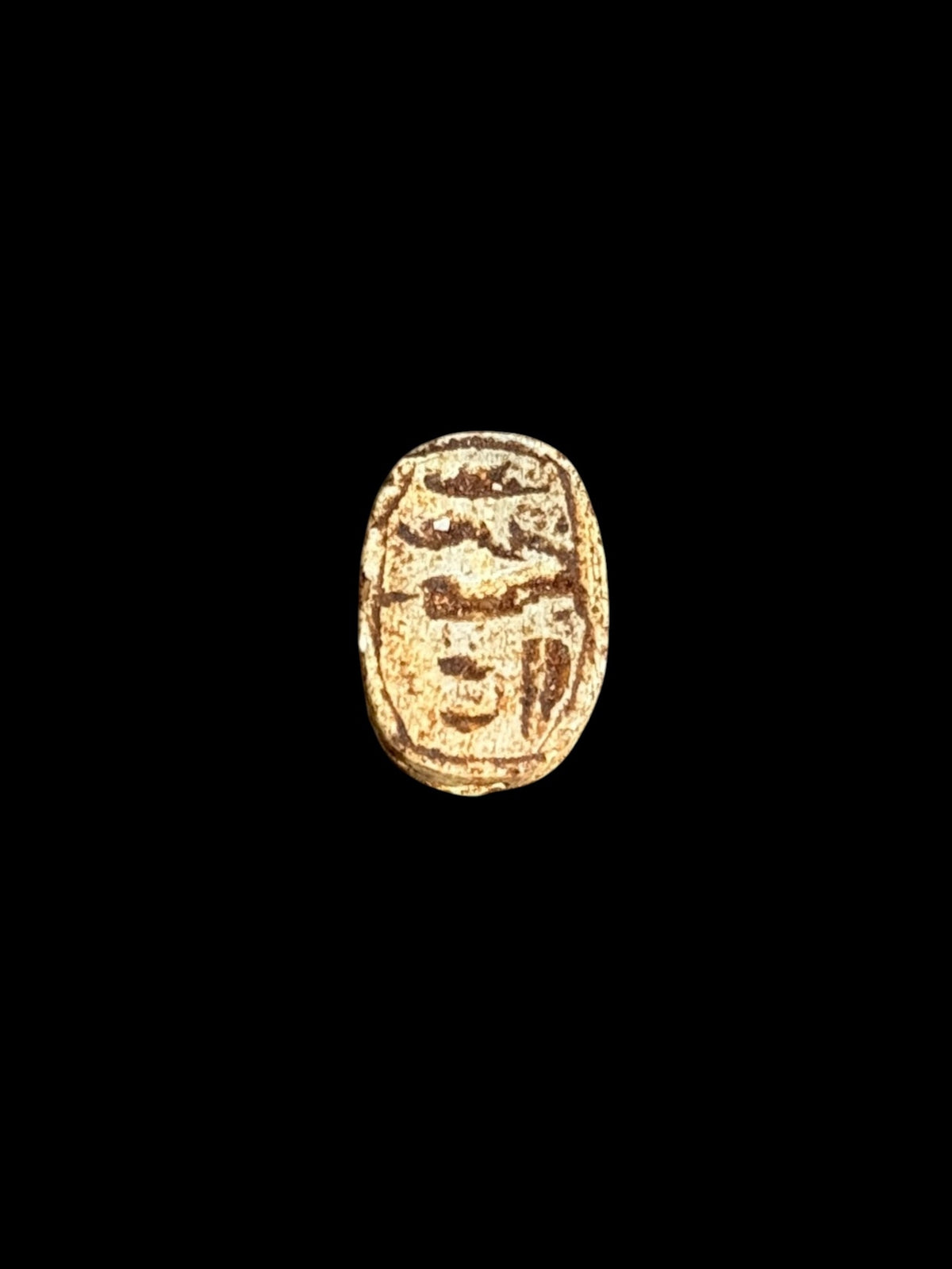 Underside of Egyptian scarab SC-066, showing ochre-toned underside with bold brown markings.