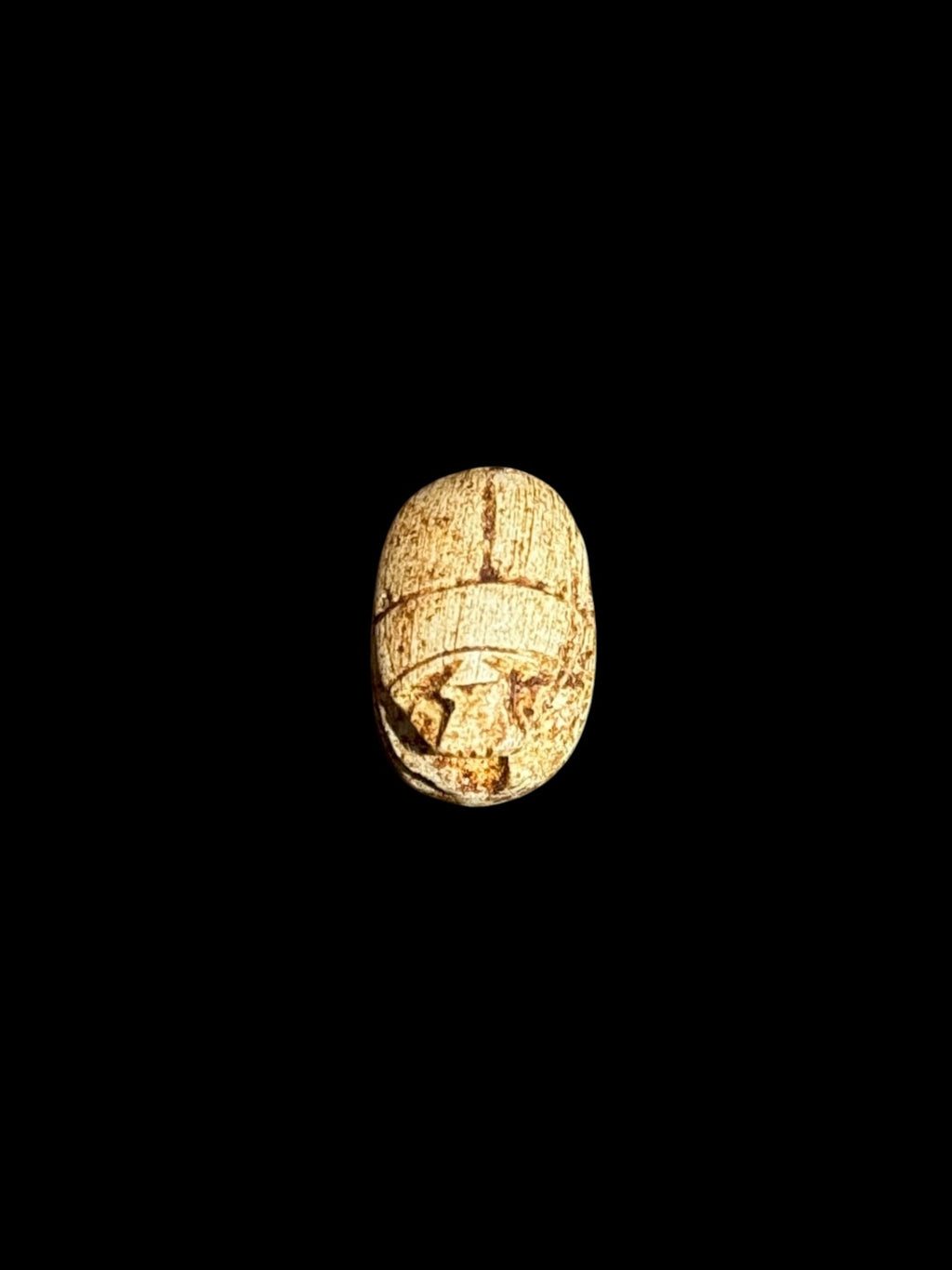 Top view of Egyptian scarab SC-065, showing warm tan and cream tones.