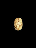 Top view of Egyptian scarab SC-065, showing warm tan and cream tones.