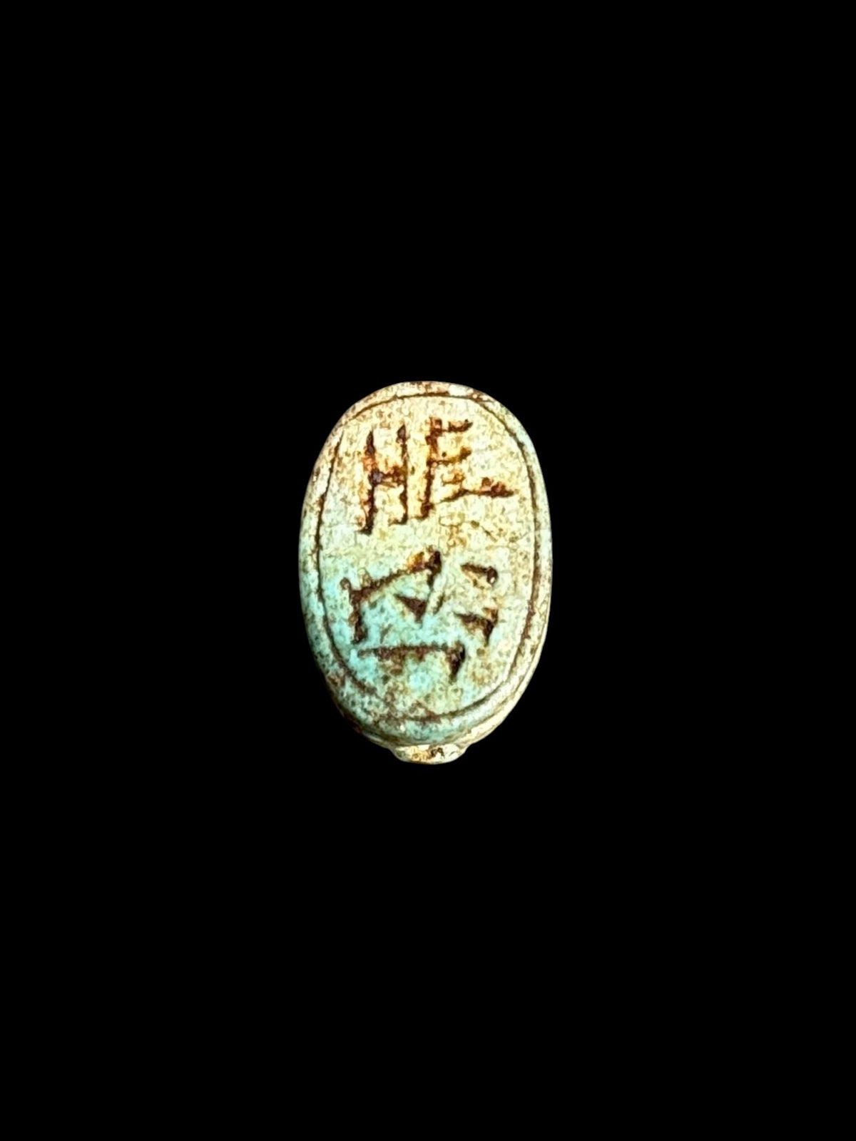 Underside of Egyptian scarab SC-050, showing blue-green underside with contrasting brown markings.