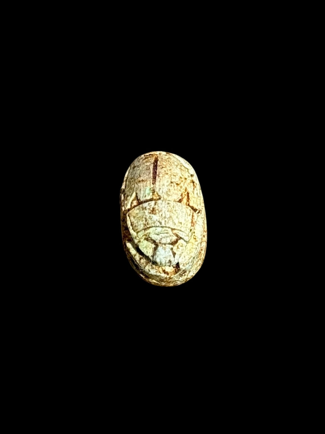 Top view of Egyptian scarab SC-055, showing cream and pale green tones.