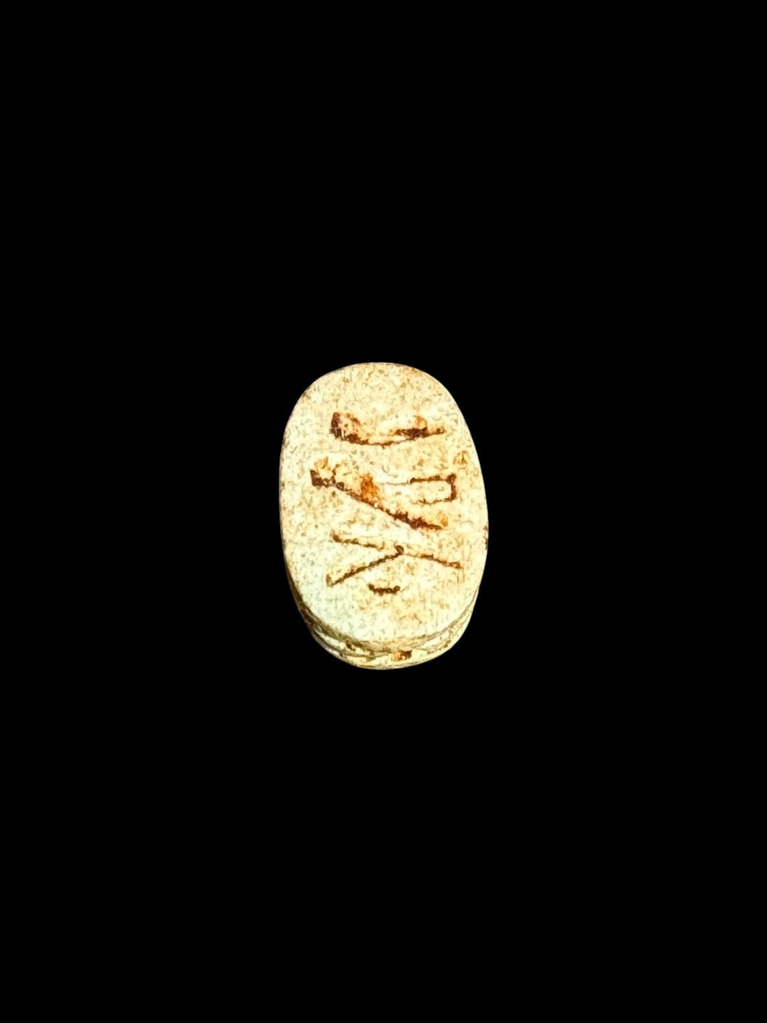 Underside of Egyptian scarab SC-071, showing pale cream underside with incised markings.