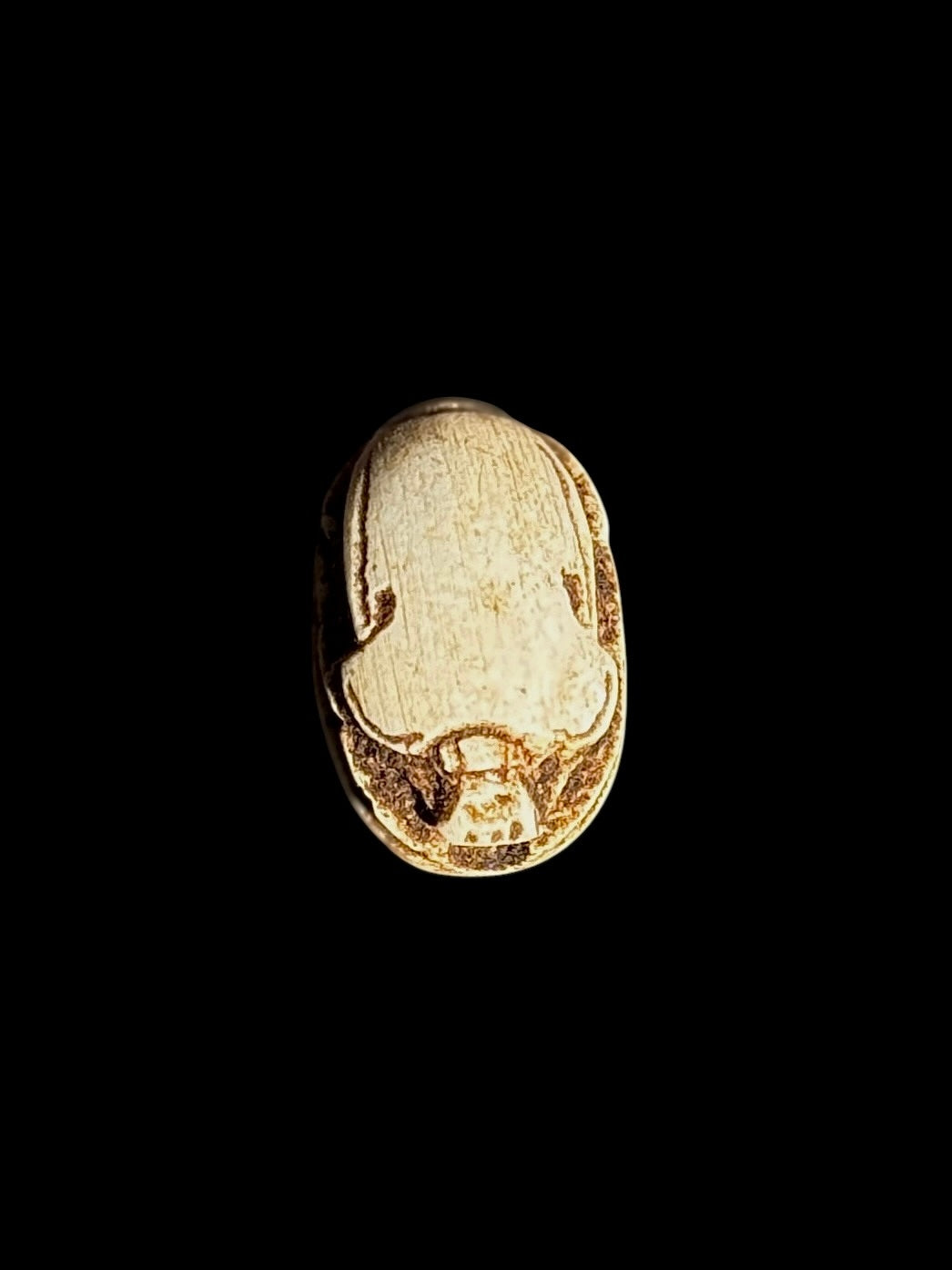 Beetle side of a cream-coloured oval stone scarab with brown accents outlining the body and head.
