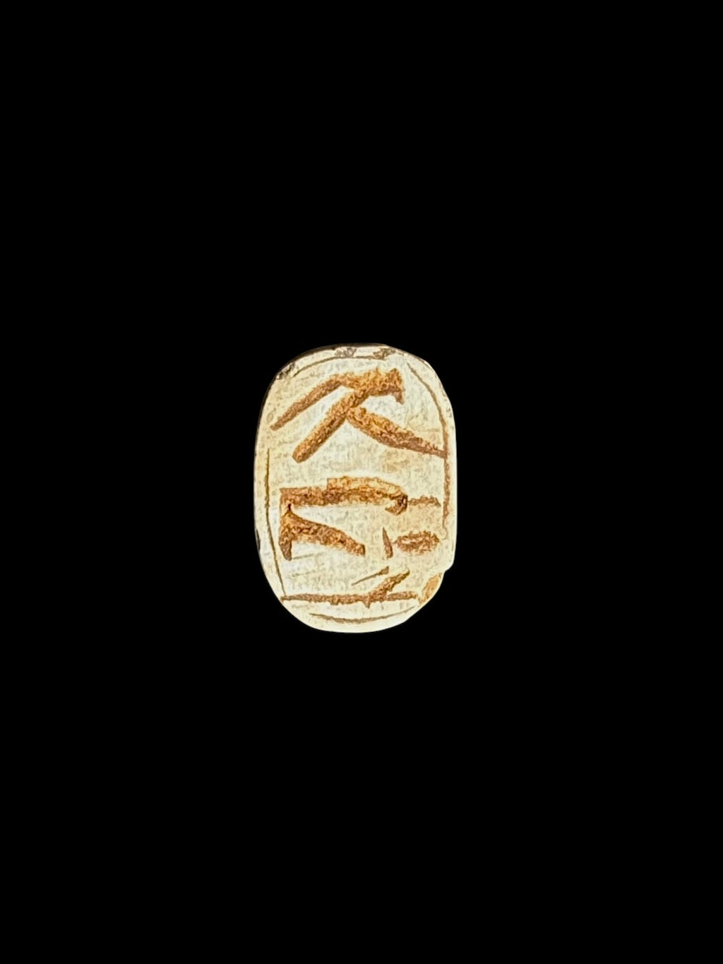 Underside of a pale cream stone scarab with brown-toned incised markings and an outlined border against a black background.