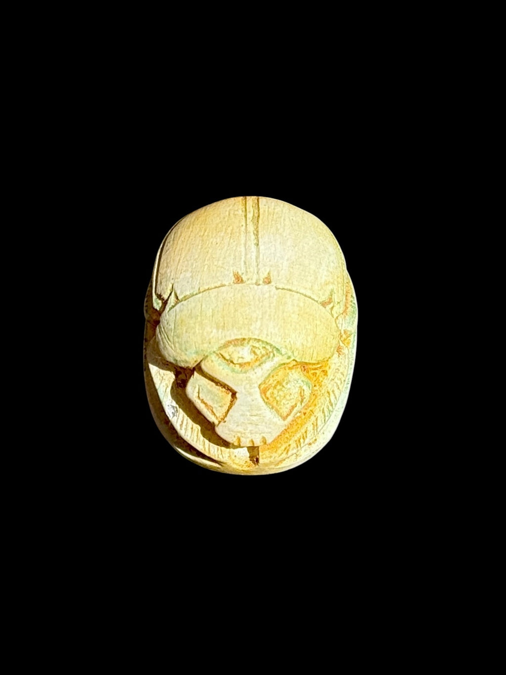 Top view of Egyptian scarab SC-097, showing pale cream tones and a defined central line across the wing covers.