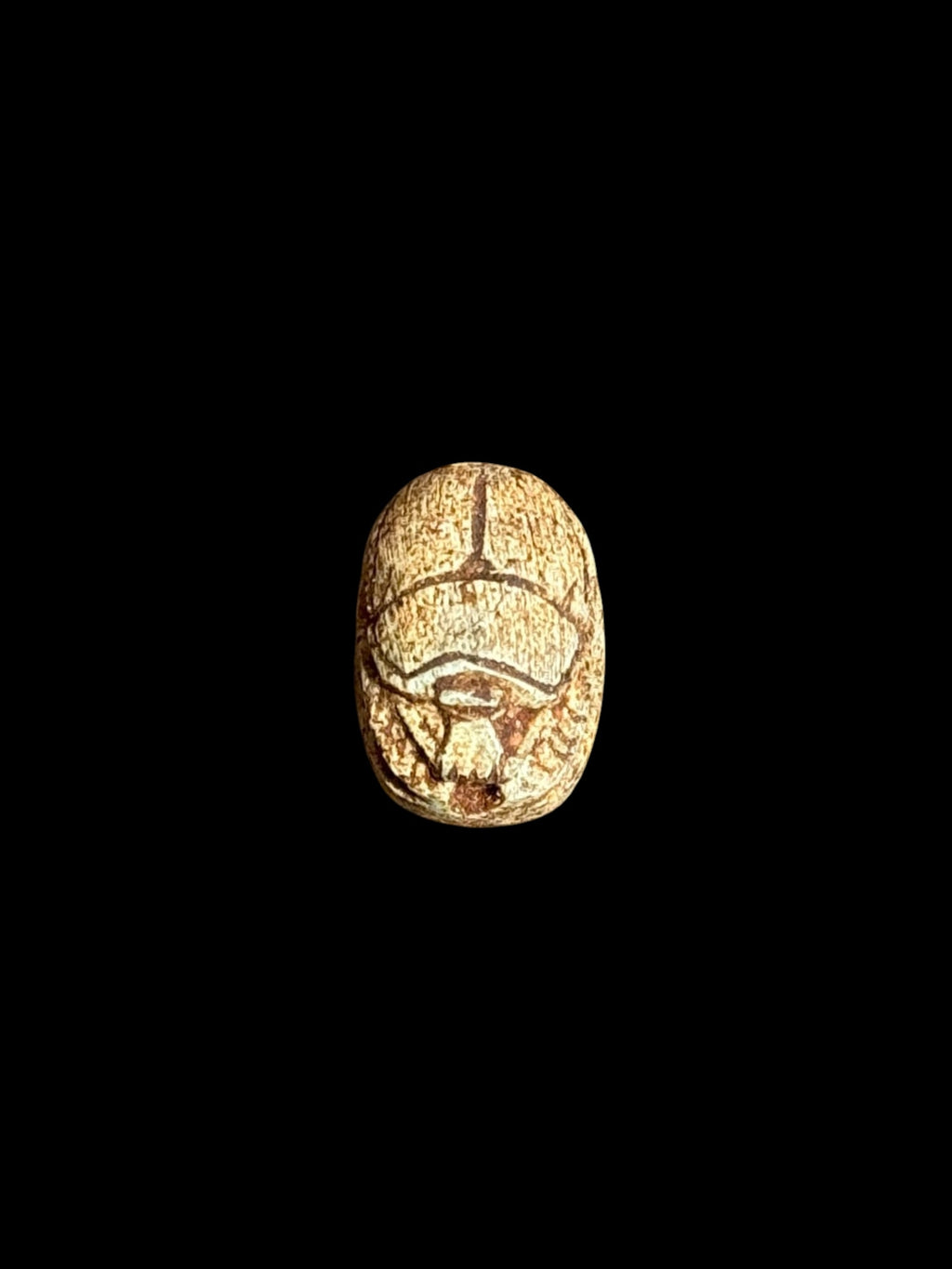 Top view of Egyptian scarab SC-067, showing warm cream and ochre tones with dark outlines.