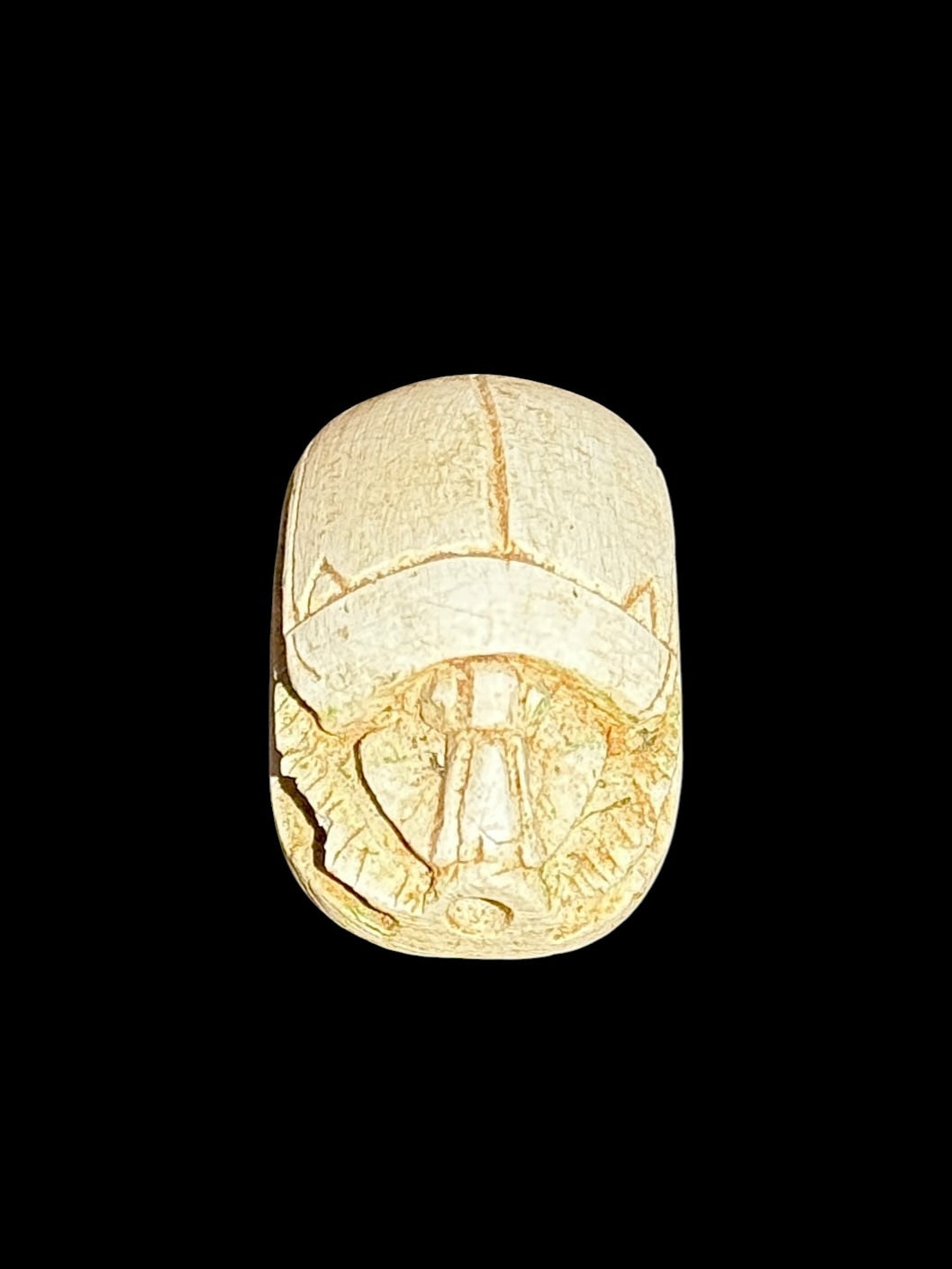 Top view of Egyptian scarab SC-102, showing pale cream tones and clearly defined beetle details.