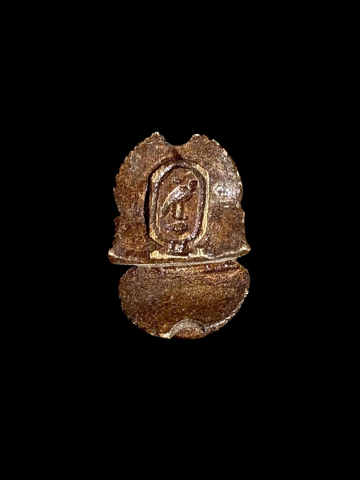 Underside of Egyptian scarab SC-117, showing brown underside with a recessed central motif and a horizontal dividing line.