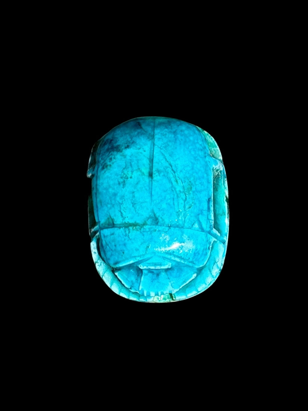 Top view of Egyptian scarab SC-118, showing vivid turquoise tones and a broad oval beetle form.