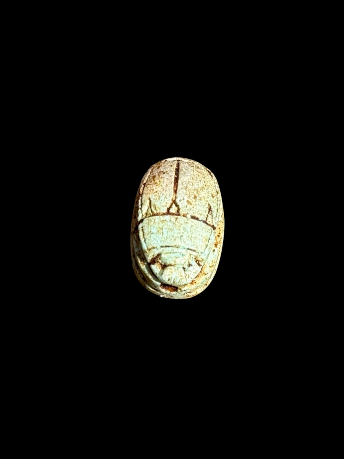 Top view of Egyptian scarab SC-062, showing pale green and cream tones.