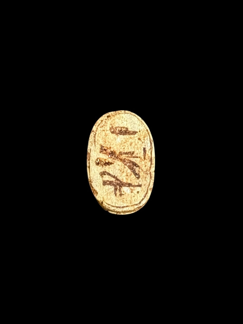 Underside of Egyptian scarab SC-070, showing warm cream underside with dark incised markings.