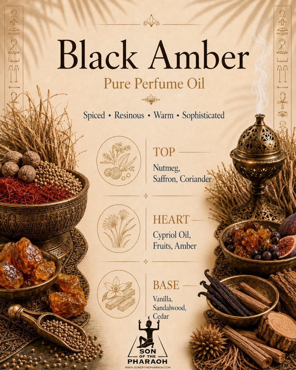 Black Amber Perfume Oil — fragrance notes infographic