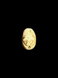 Top view of Egyptian scarab SC-061, showing pale cream tones and softly defined surface details.