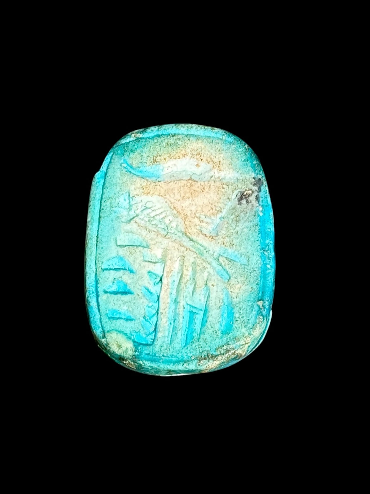 Underside of Egyptian scarab SC-118, showing blue-green underside with pale patches and incised figures.