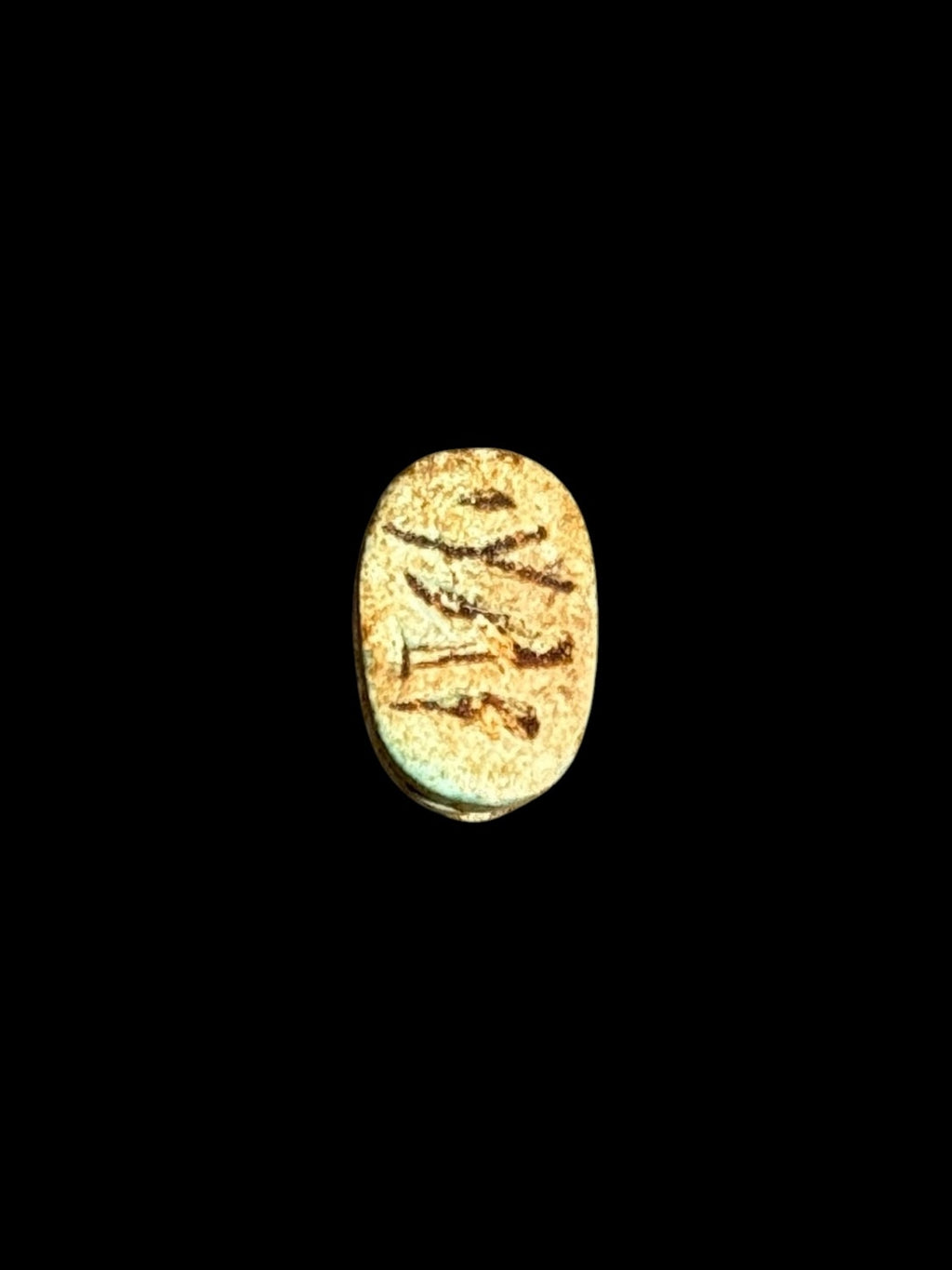 Underside of Egyptian scarab SC-054, showing pale underside with green patches and brown markings.