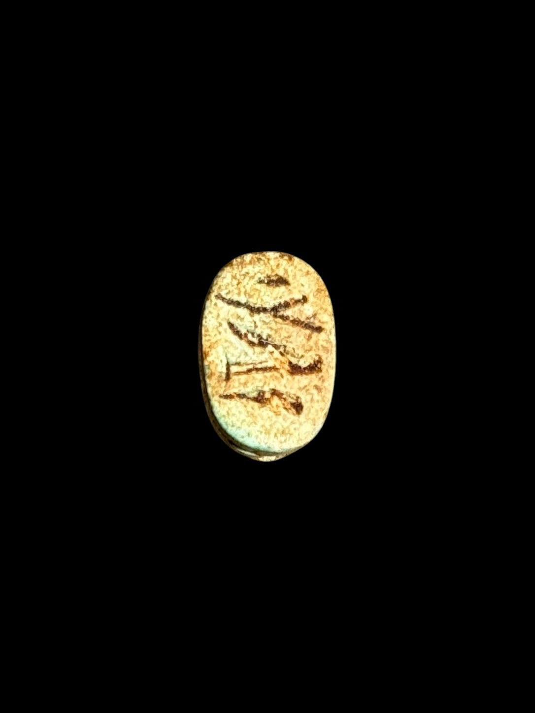 Underside of Egyptian scarab SC-054, showing pale underside with green patches and brown markings.