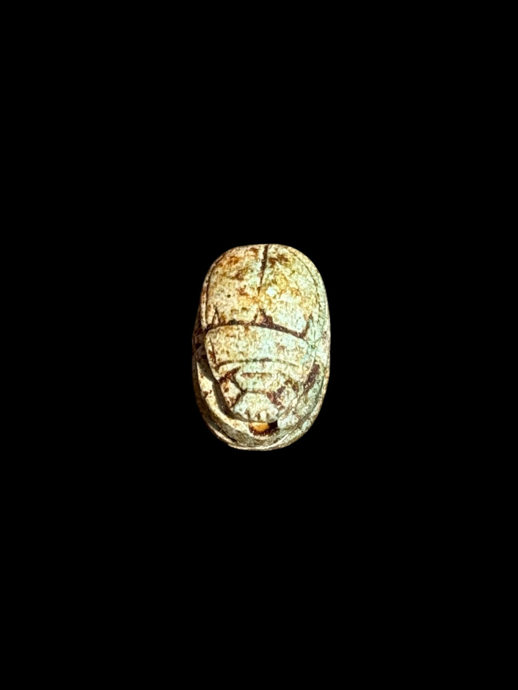 Top view of Egyptian scarab SC-066, showing mottled cream and pale green tones.