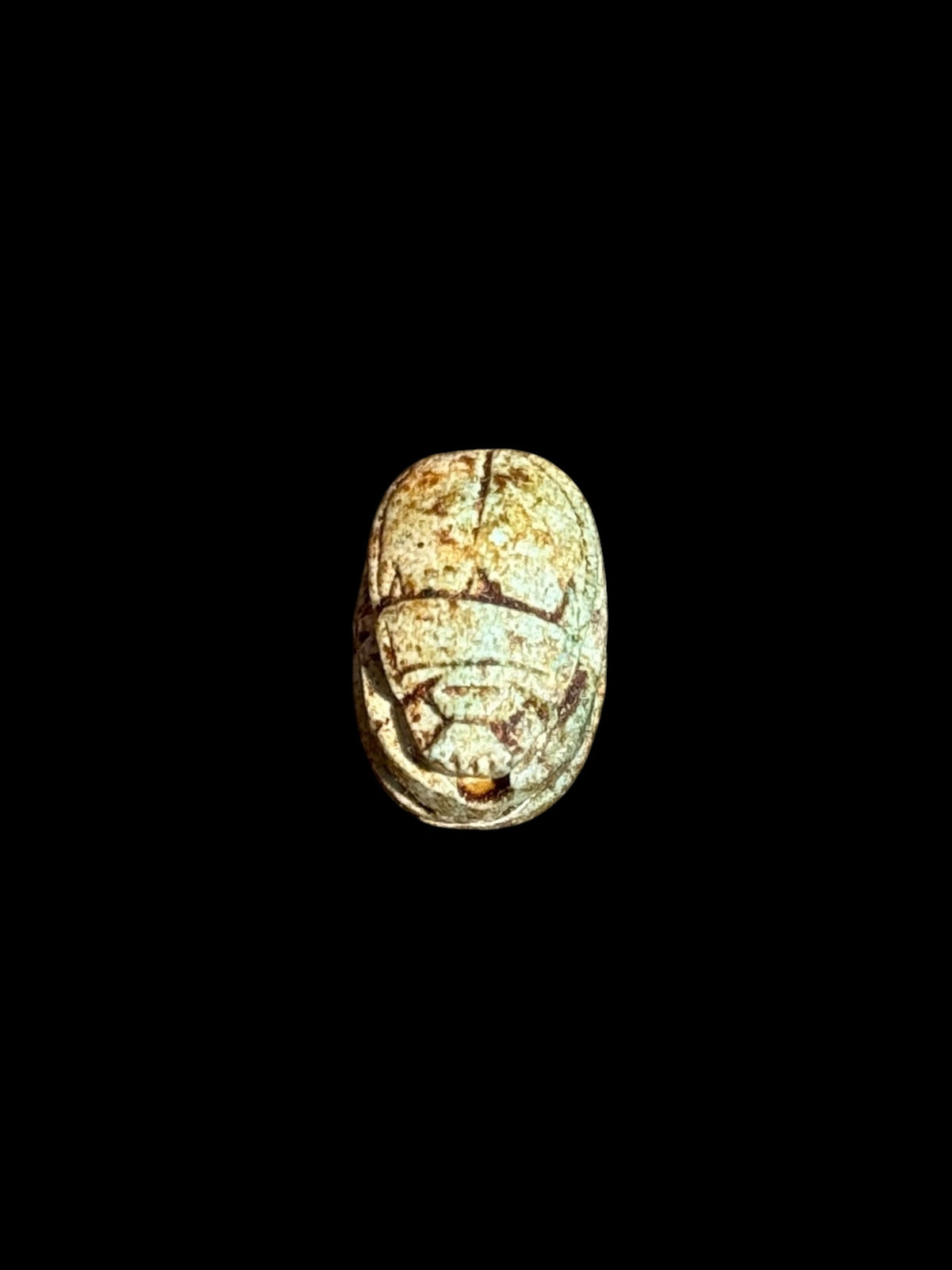 Top view of Egyptian scarab SC-066, showing mottled cream and pale green tones.